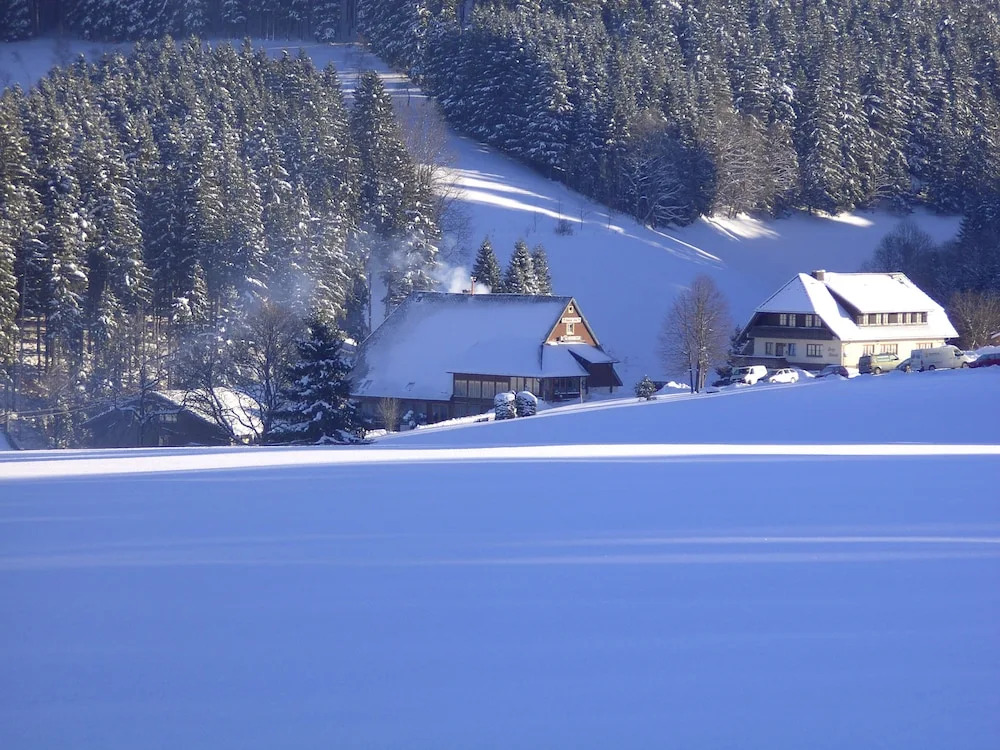 Hotel ThälerHäusle mit Schwimmbad