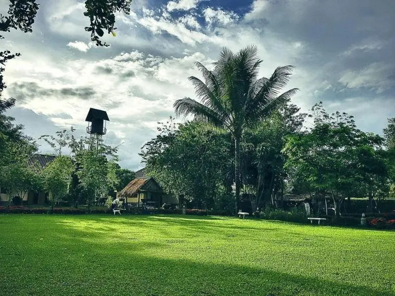Monkey House 2