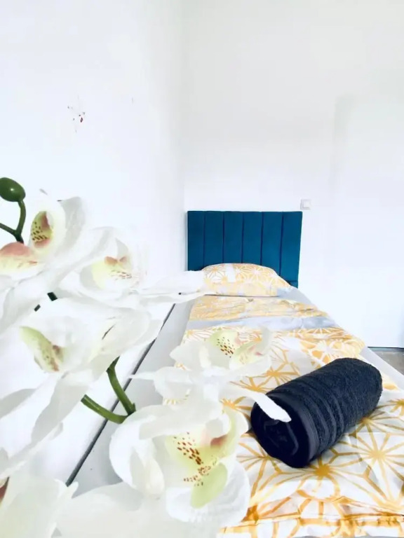 Spacious 4BR for 15 & 15 Min to Danube