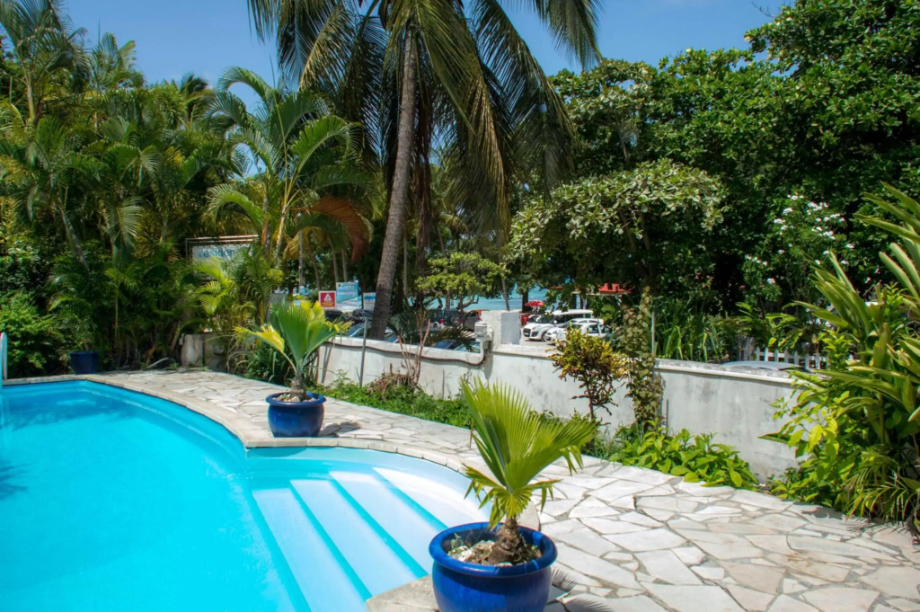 Blue Paradise