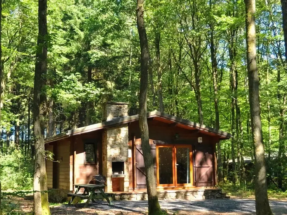 Cozy, Wooden Chalet With a Microwave, Located in a Forest