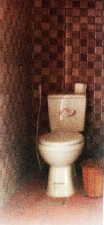 The Birdhouse