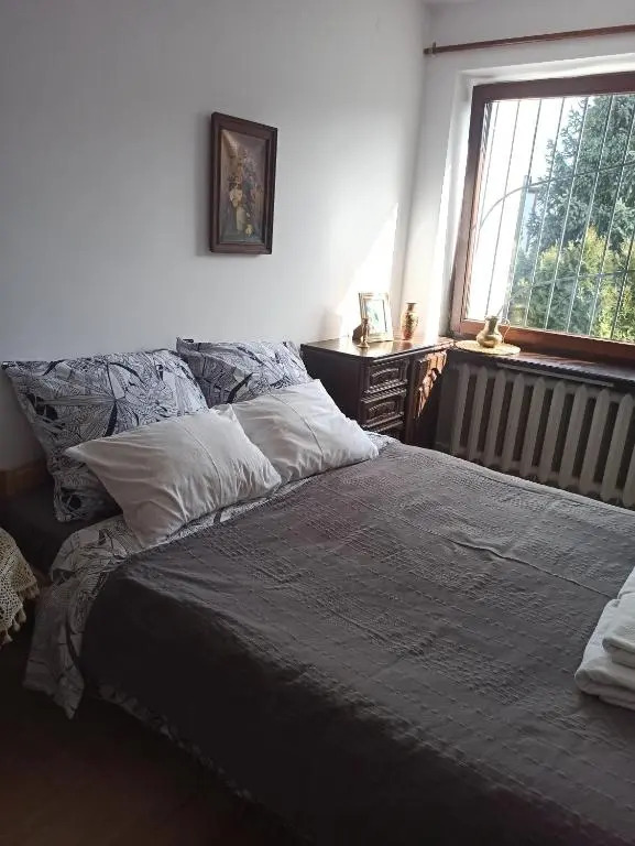 Hotel-hostel Saska