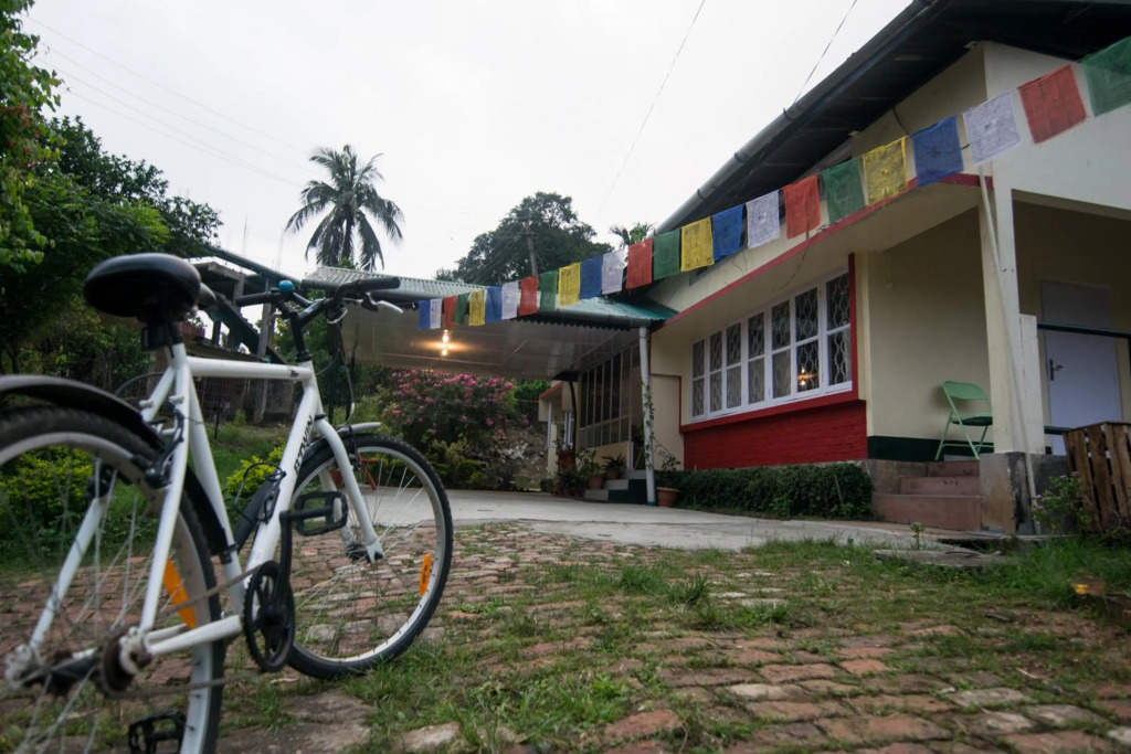 Gibbon Backpackers Hostel