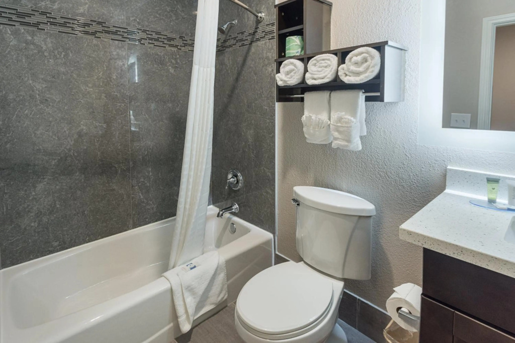 Econo Lodge Inn & Suites Houston NW-Cy-Fair