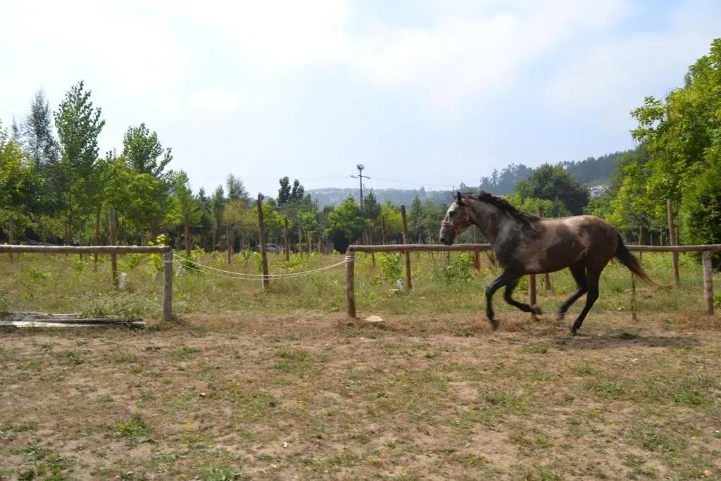 Quinta do Mosteiro