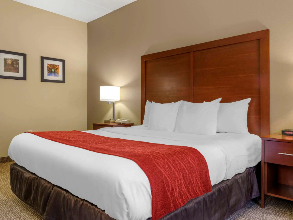 Comfort Inn Duncansville - Altoona