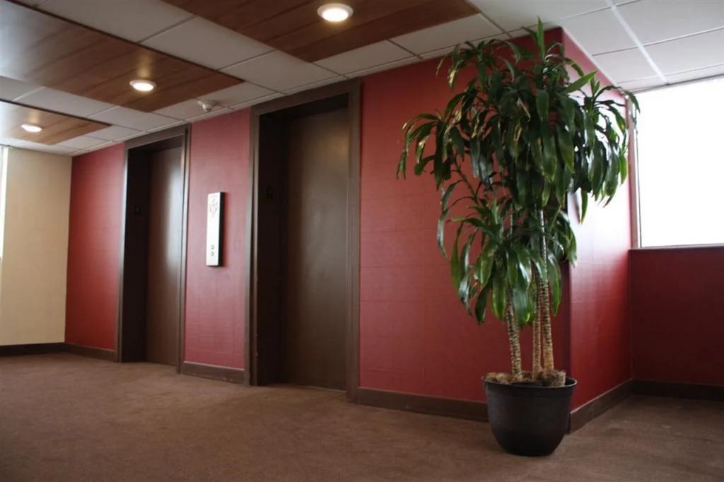 Four Points by Sheraton Chicago OHare
