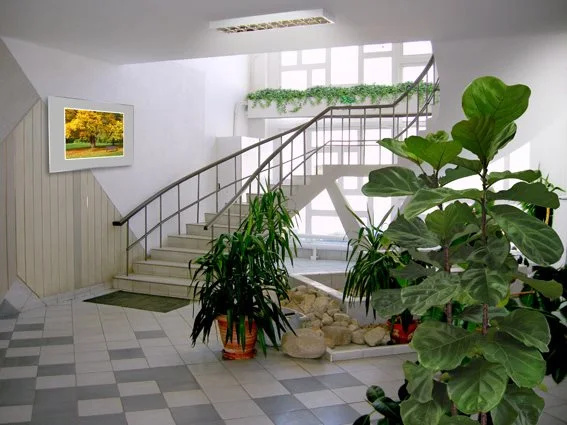 Ami Hotel
