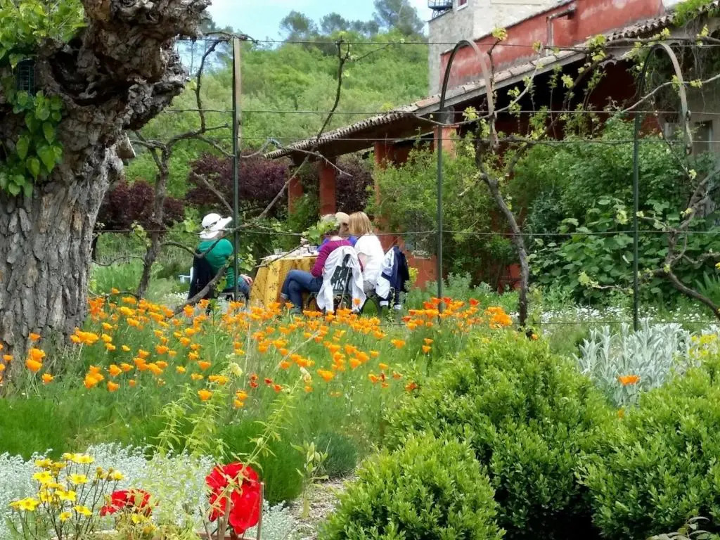 Une Campagne En Provence