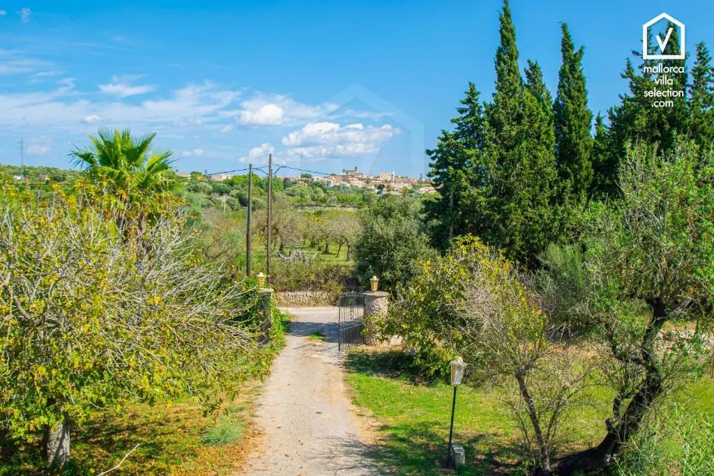 Finca SON TRESCO