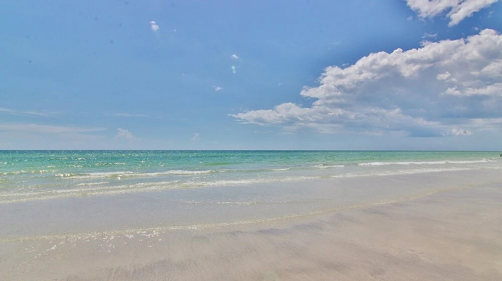 Seashell by Teeming Vacation Rentals