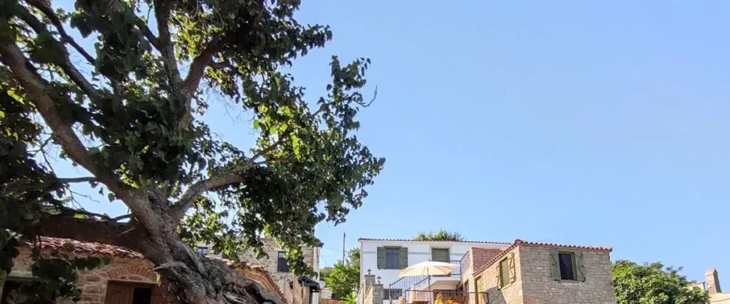 The Hill Village House