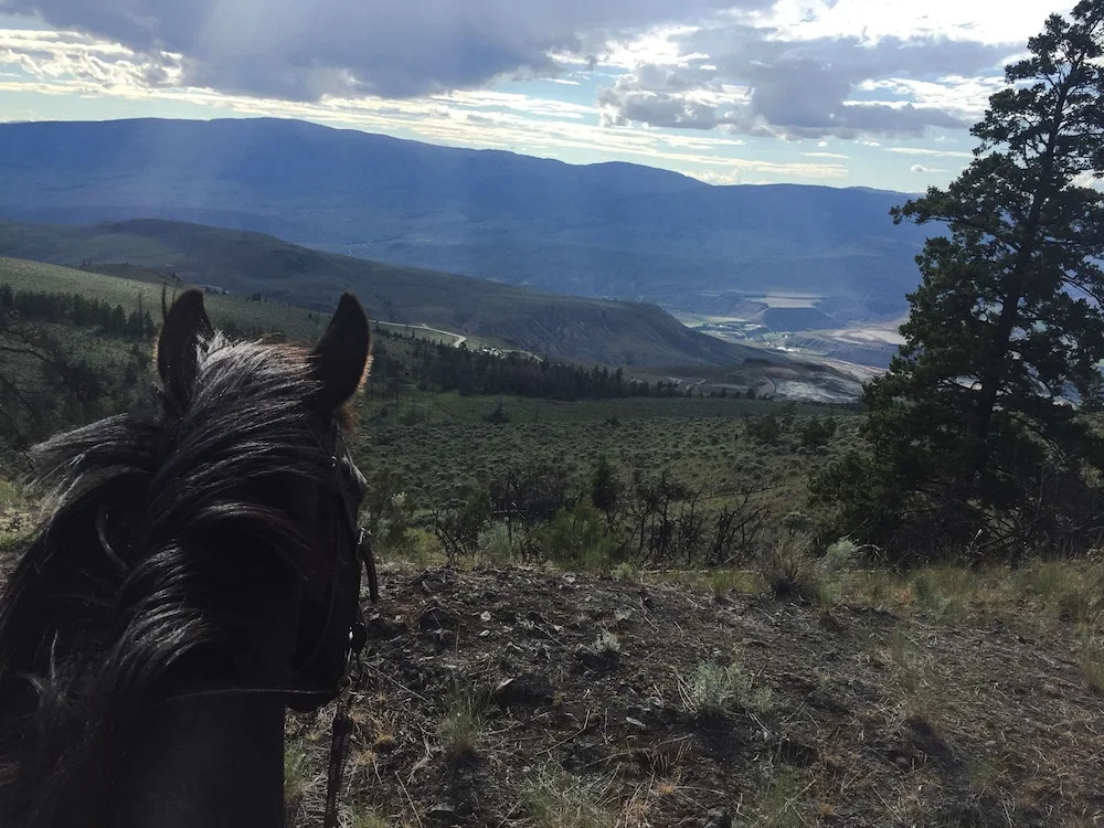 YD Guest Ranch
