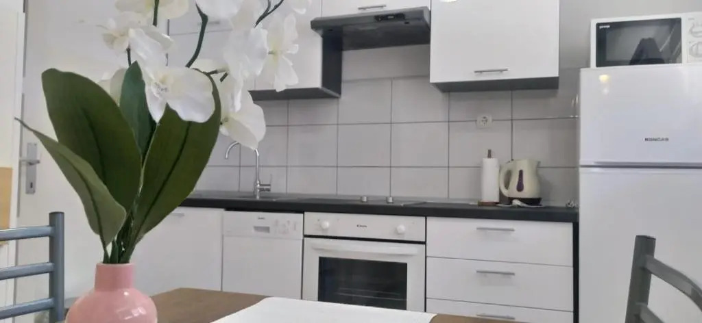 Apartment Banovac