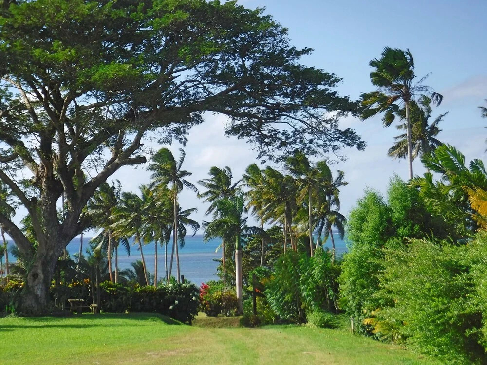 Raintree Gardens