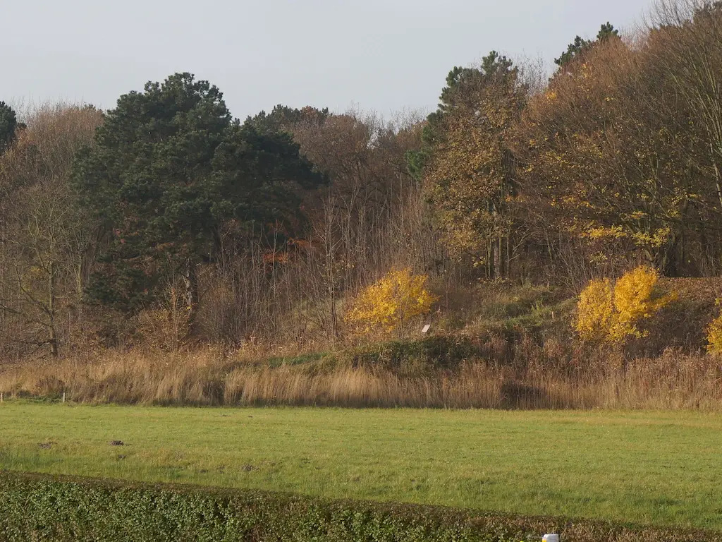 Beautiful house with large garden, in Noordwijk and by the sea