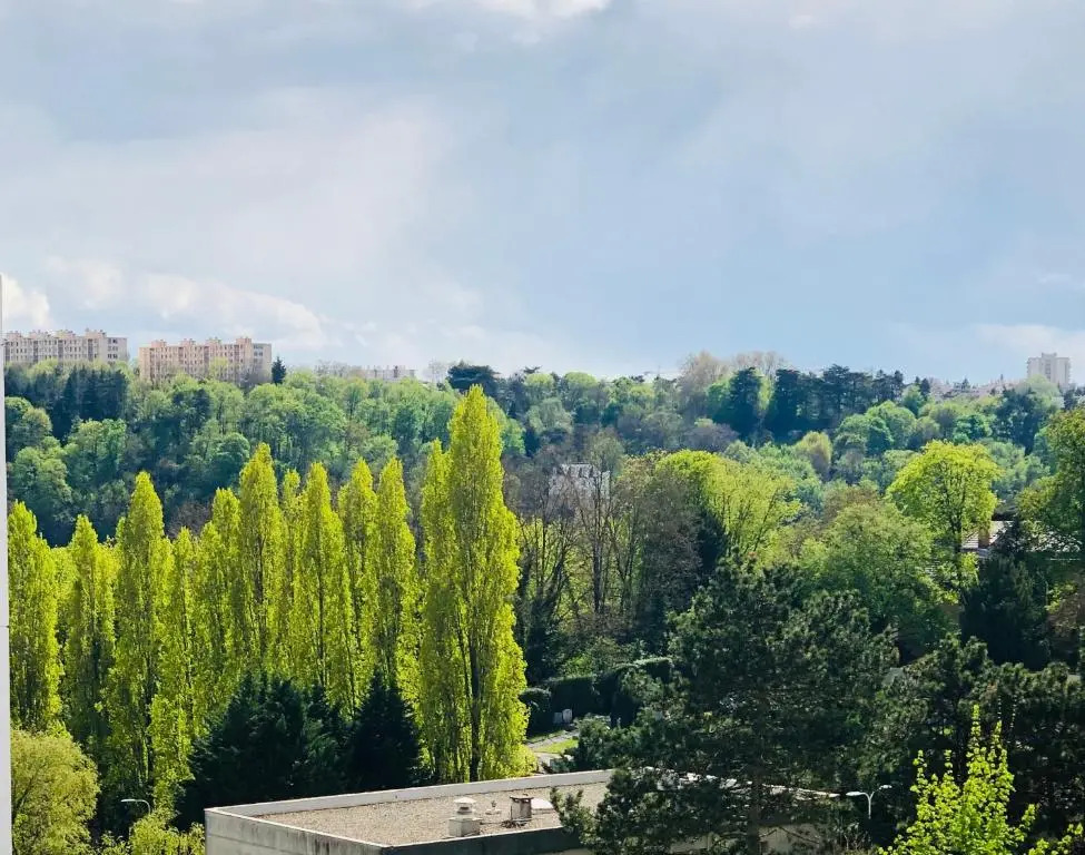 "Envie Lyonnaise" Location - 14 personnes - Terrasse - WIFI fibre optic
