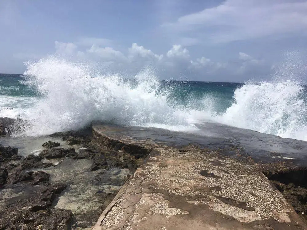 Jackies on the Reef