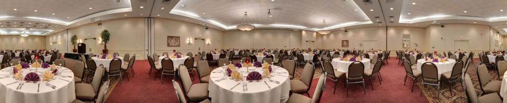 Hilton Greenville