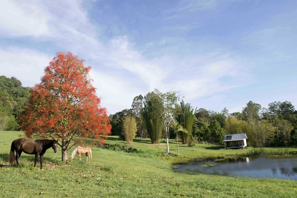 Nimbin waterfall retreat
