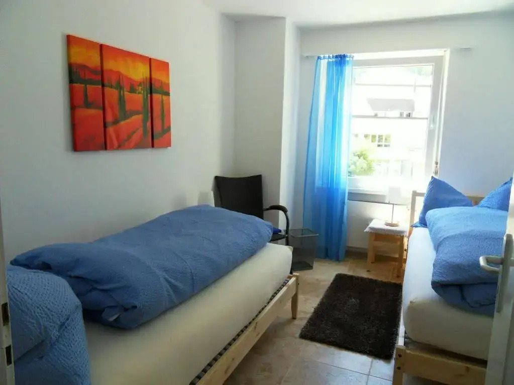 Apartments Steinbock - Mountain Views & Central Location
