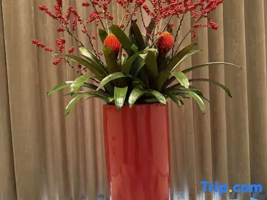 Xinnanshan Hotel