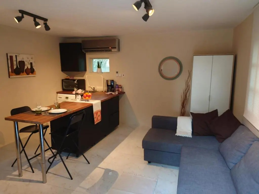 V35 Backyard studio home