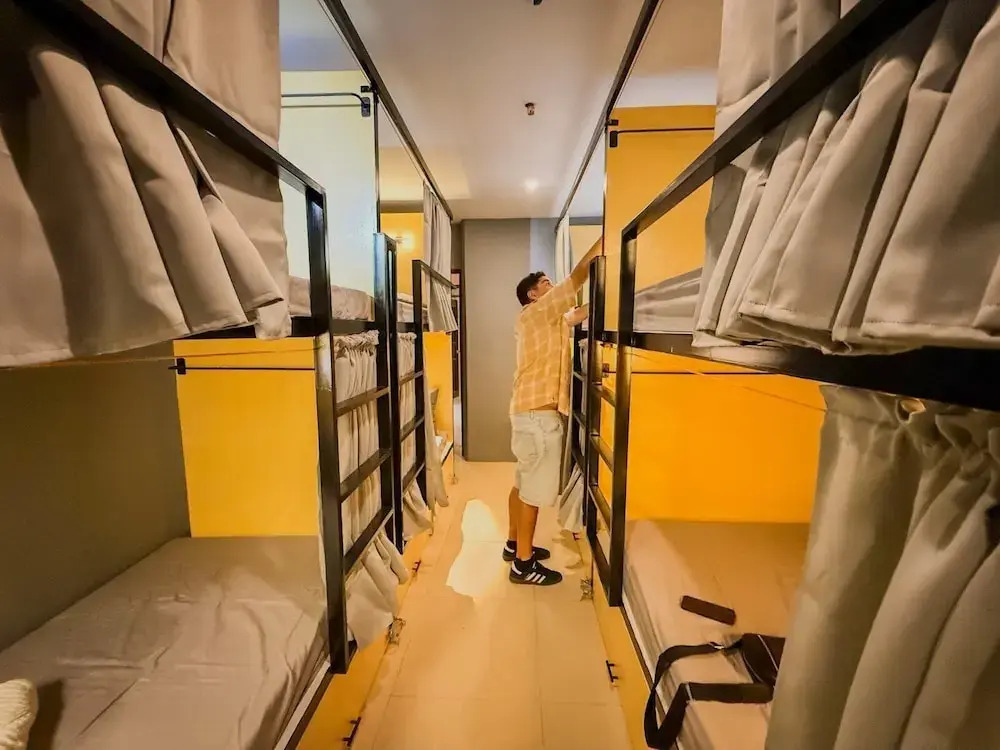 Goofy Ants Hostel