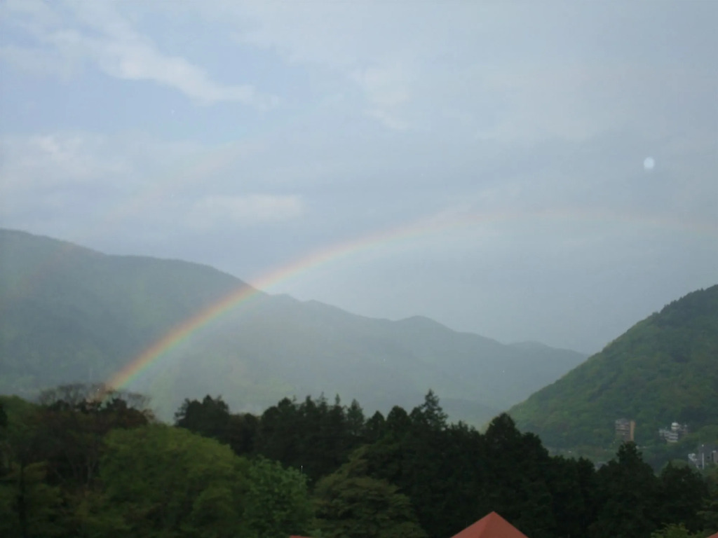 Hakone Forest of Verde