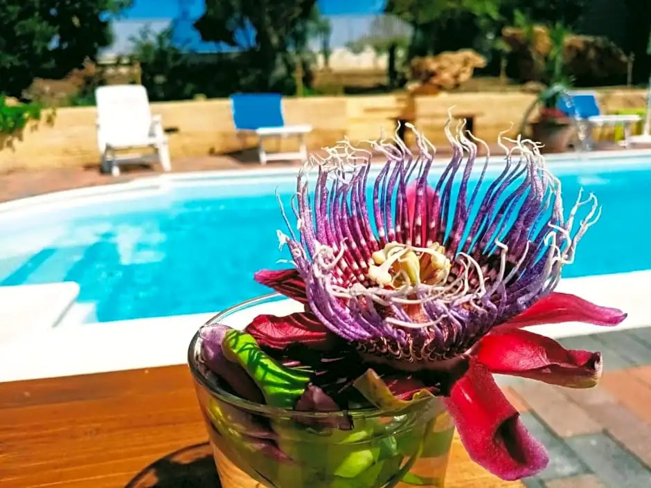 B&B Villa Sant'Antonio
