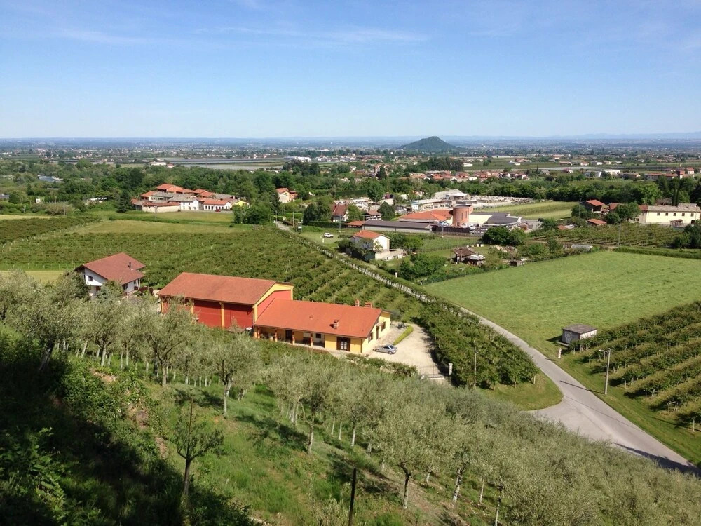 Agrialpi by Salfrutta
