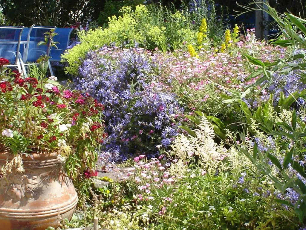 Rosedene Guest House