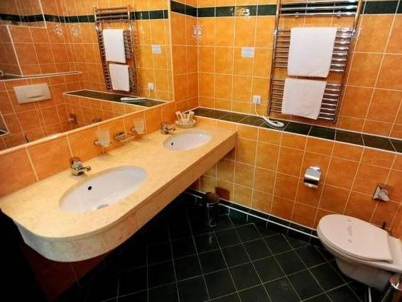 Romantic Hotel Mlýn Karlstejn