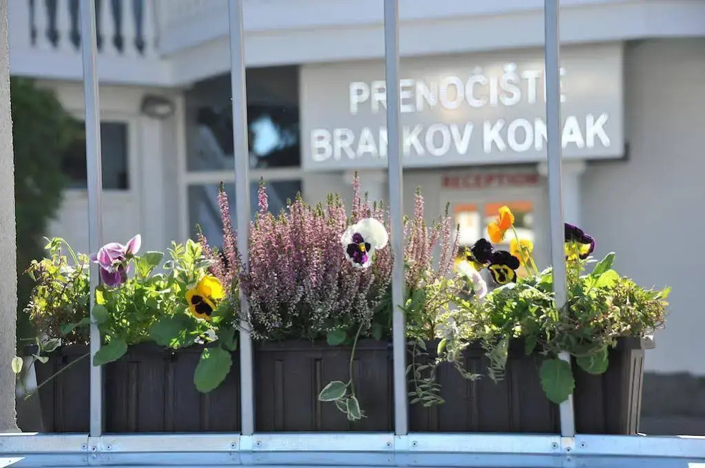 Apartmani Medijana Niš