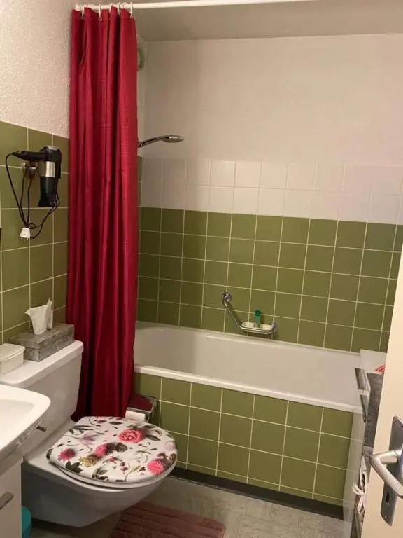 1-room apartment * directly by the cable car * Bernese Alps