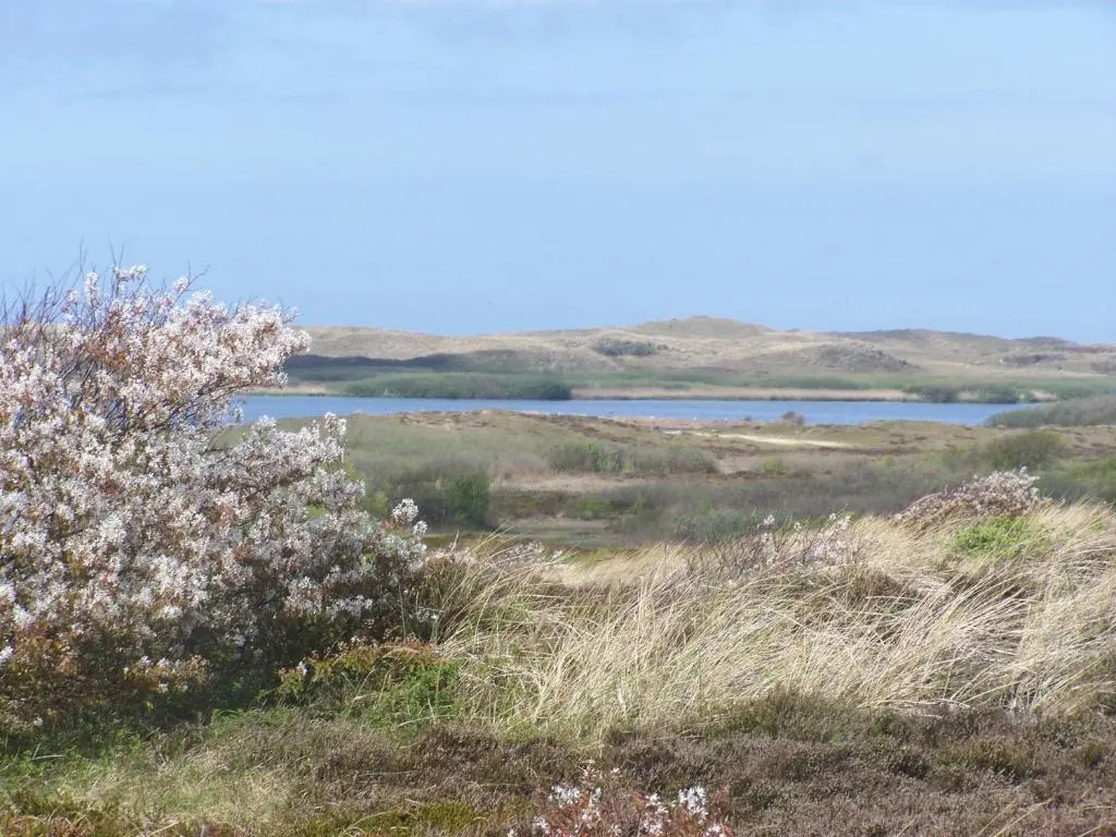 Tiny House in het groen, aan zee