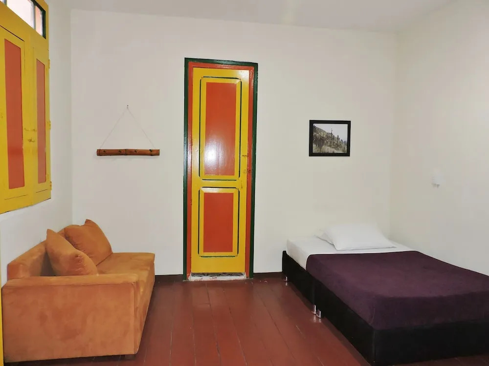 Golden Frog Manizales
