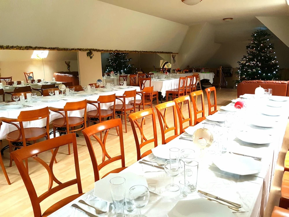 Hotel Bor