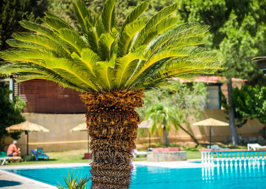 Achousa Hotel