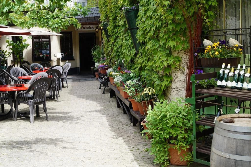 Weingut Haxel