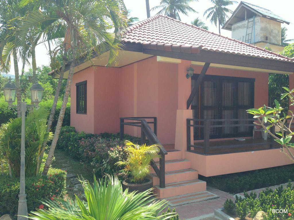 The New Villa