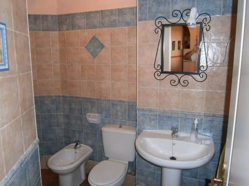 Apartment in Torrox, Malaga 102919