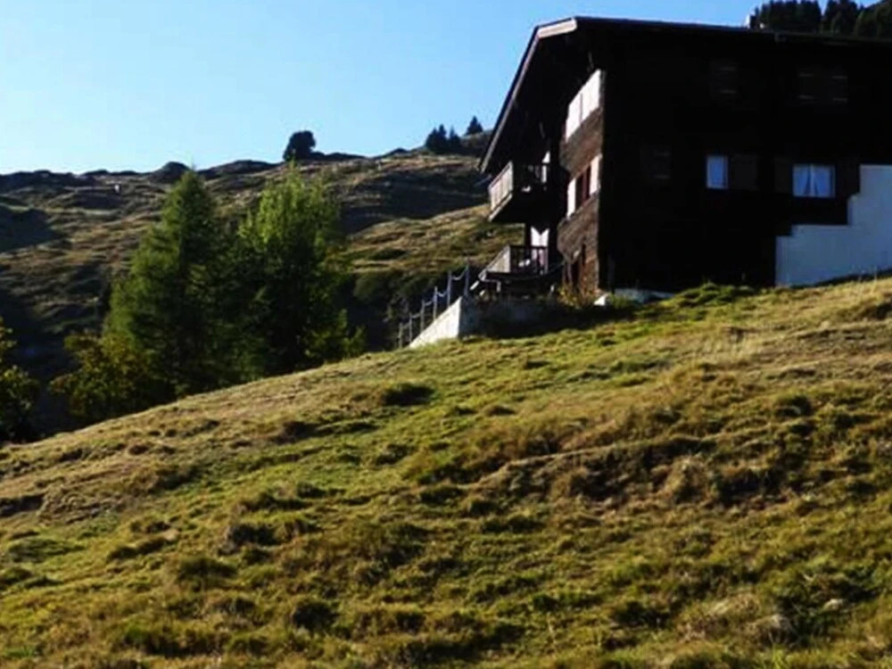 Arve Nr 4 2 Stock Riederalp