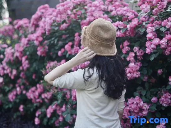 Yingwuxin Boutique Hostel Mount Mogan