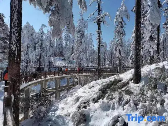 Jingshui Xianju · Leisure Time Leisure Vacation Homestay (Wawu Mountain Scenic Area)