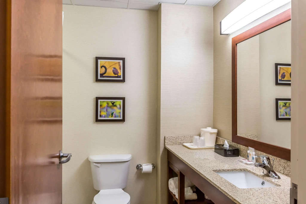 Comfort Inn Frederick - Ballenger Creek