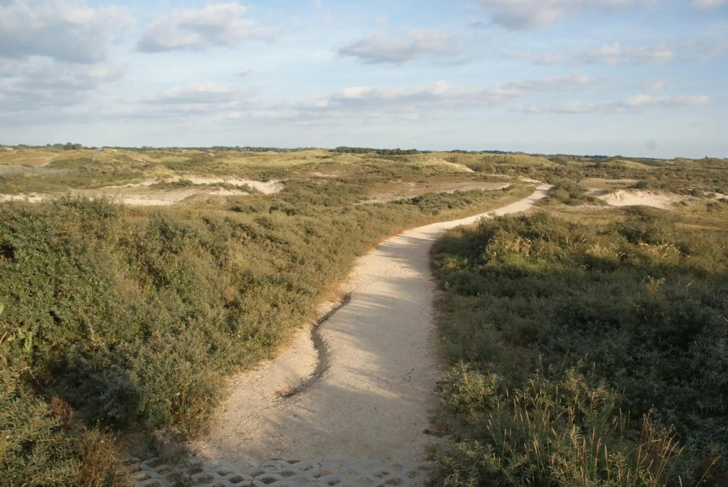 Huis Zeeduin Amsterdam Beach