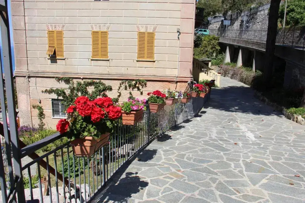 Affittacamere Villa Orchidea