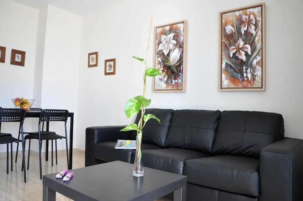 Apartamentos Dunia 211